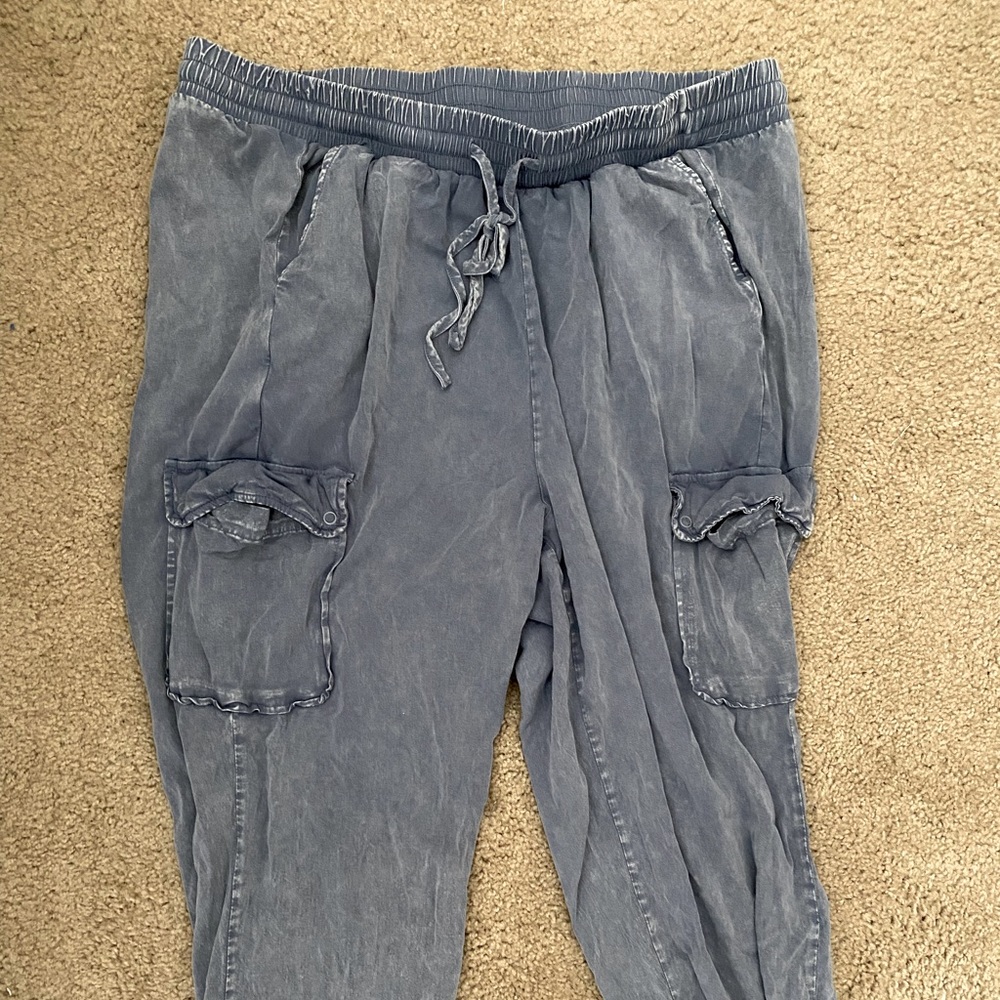 NWOT Torrid Size 2 Denim Wash Jogger